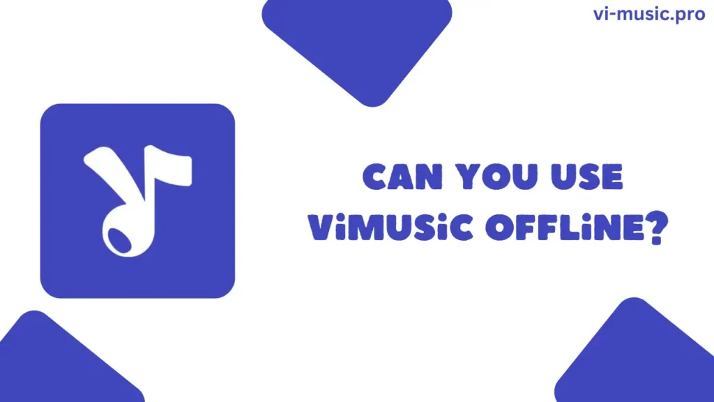 ViMusicはオフラインでも使えますか?